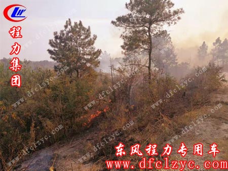 山間剛剛起火順勢(shì)蔓延